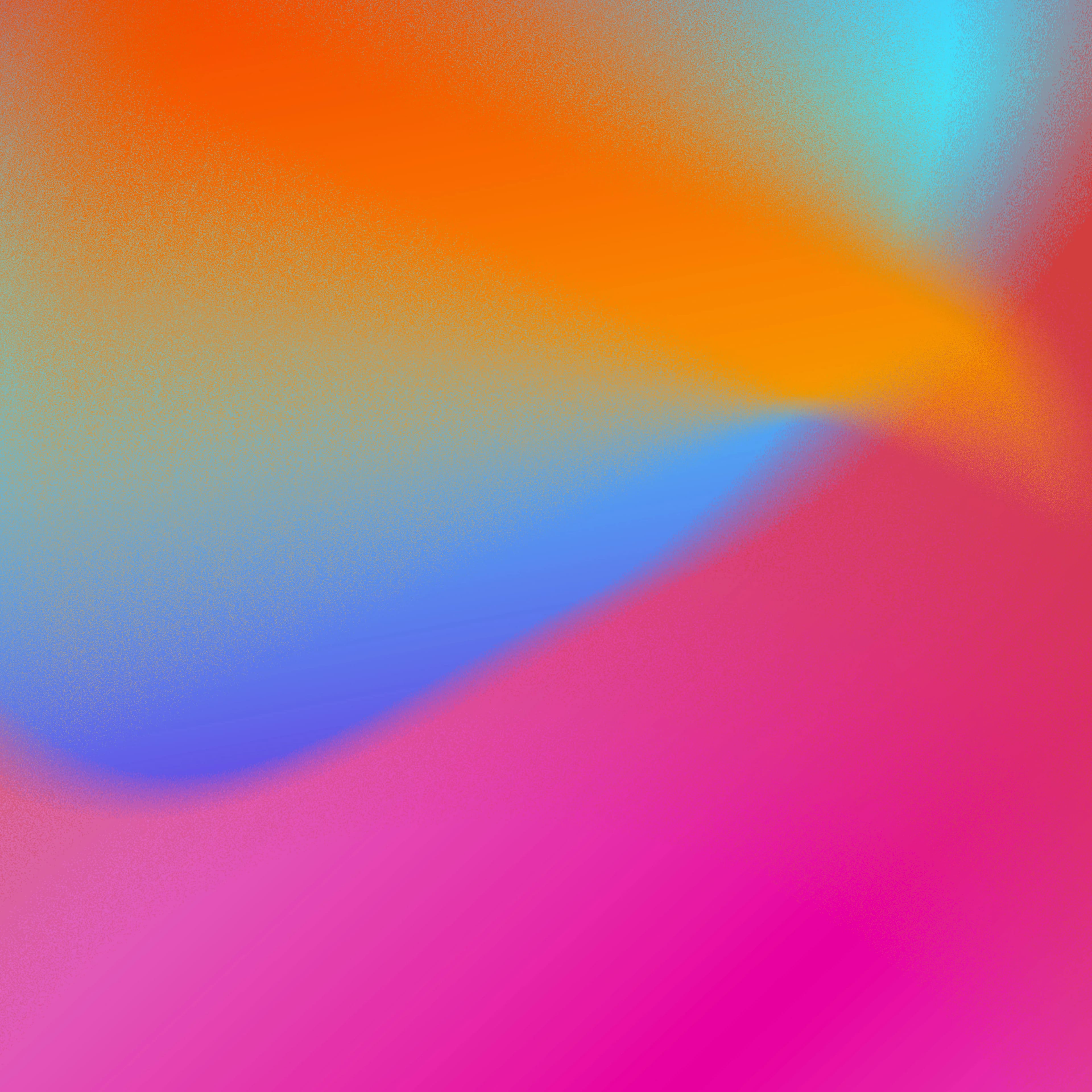 FORMAZIONE & MENTORSHIP